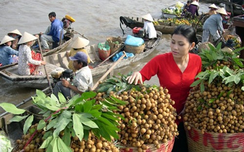 Menyelesaikan Proyek mengkonektivitaskan produk-produk pokok di daerah dataran rendah sungai Mekong