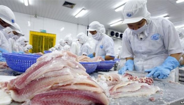 Simposium tentang ekspor ikan tak bersisik yang berkesinambungan dari Vietnam ke Uni Eropa