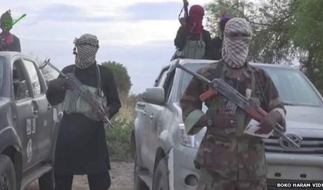Boko Haram membunuh 30 warga sipil di Niger
