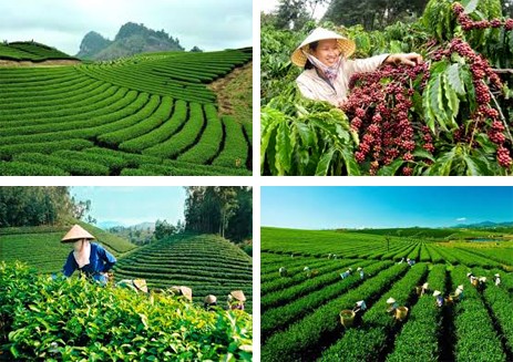 Meningkatkan hasil-guna pengelolaan dan penggunaan tanah di semua usaha pertanian negara dan usaha kehutanan negara