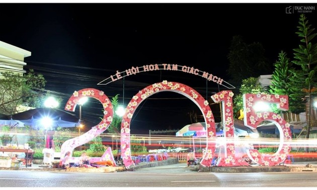 Festival pertama Bunga Gandum Kuda di Daerah dataran tinggi batu Dong Van, provinsi Ha Giang tahun 2015