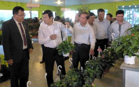 Presiden Vietnam, Truong Tan Sang mengapresiasi pola pertanian teknologi tinggi di provinsi Lam Dong