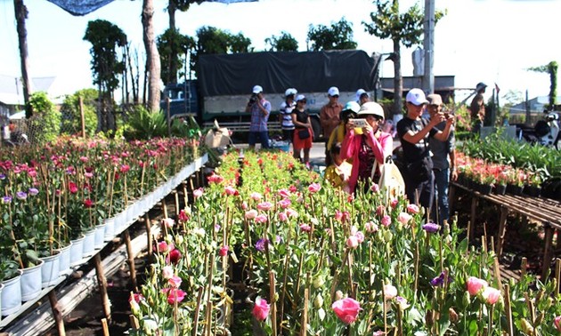 Desa bunga Sa Dec menyerap kedatangan wisatawan sehubungan dengan Hari Raya Tet
