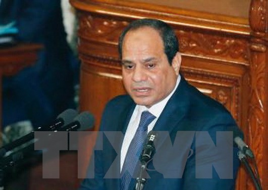 Mesir menekankan solusi dua negara terhadap Palestina dan Isarel
