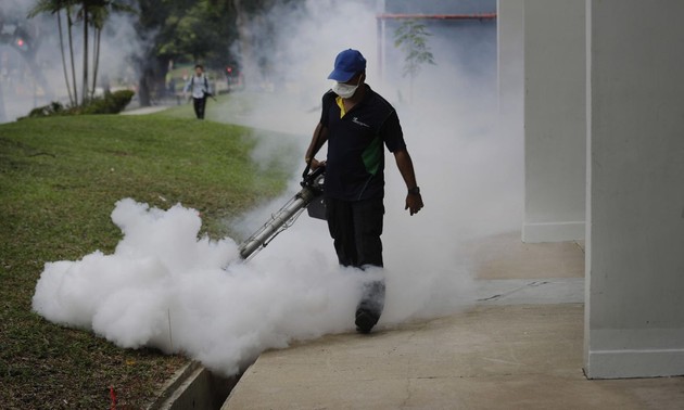Singapura menemukan lagi 9 kasus yang terinfeksi virus Zika