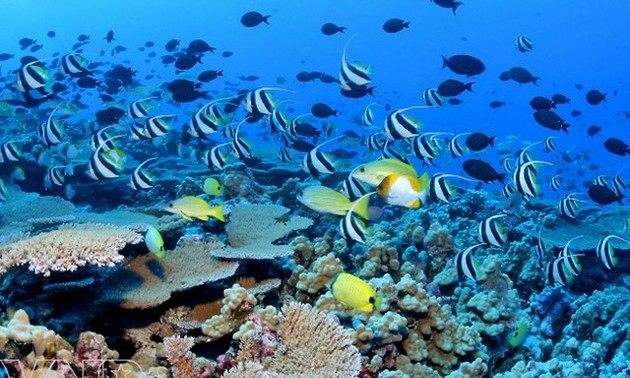 Lebih dari 90 negara berkomitmen akan memberikan sumbangan sebesar miliaran dolar AS dalam mengkonservasikan ekosistem laut