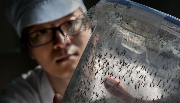Peringatan mengenai bahaya virus Zika menular luas di kawasan Asia-Pasifik