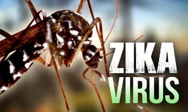 Ada lagi dua kasus terinfeksi virus Zika di kota Ho Chi Minh