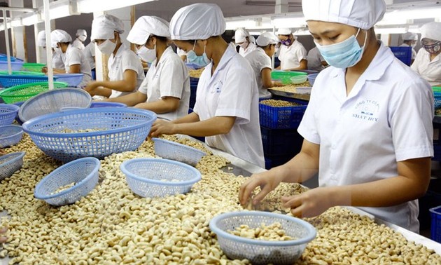 Mengembangkan secara berkesinambungan brand kacang mete provinsi Binh Phuoc”