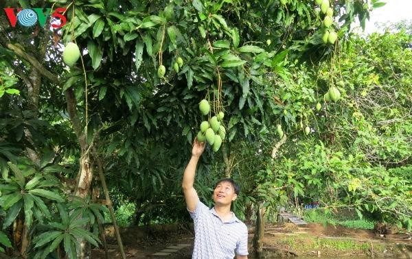 Meningkatkan nilai produk buah-buahan khas dari Vietnam