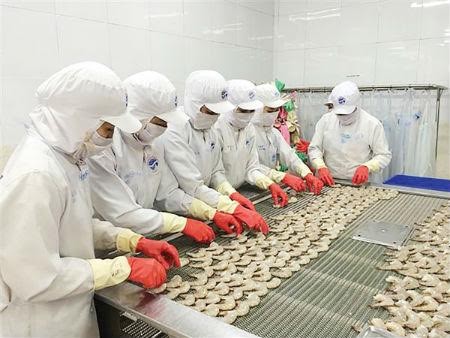 Perikanan Vietnam menuju ke target meningkatkan nilai ekspor udang