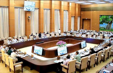  Komite Tetap MN Vietnam memberikan sumbangan pendapat terhadap laporan tentang pekerjaan menangani pengaduan dan gugatan tahun 2017