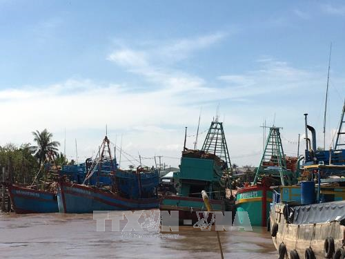  Daerah-daerah di Vietnam aktif menggelarkan opsi untuk mencegah dan menanggulangi taufan Tembin