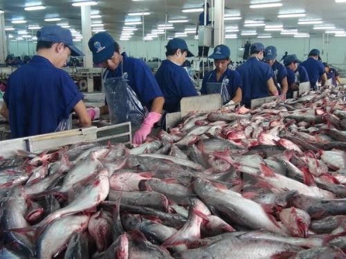 Menggelarkan UU mengenai Perikanan dan mengatasi “kartu kuning” IUU di provinsi-provinsi pesisir daerah Nam Bo Tengah