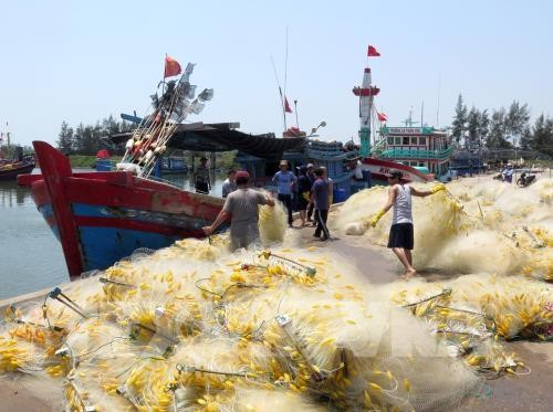Kota Da Nang memperkuat usaha mencari asal-usul hasil perikanan