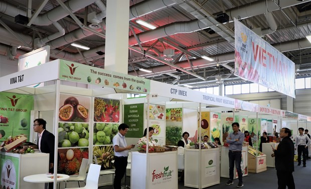 Badan-badan usaha anggota Asosiasi Hortikultura Vietnam berpartisipasi pada Pekan Raya “Fruit Logistica 2020”