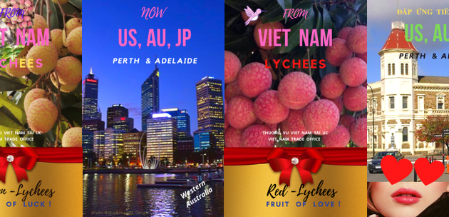 Sembilan ton buah leci segar Vietnam akan segera tiba di pelabuan Australia