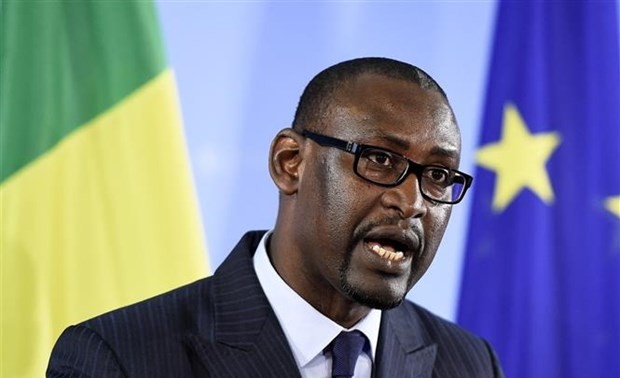 ECOWAS Sahkan Sanksi Baru terhadap Mali