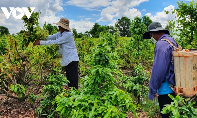 Kabupaten Binh Chanh, Kota Ho Chi Minh Selesaikan Pembangunan Pedesaan Baru
