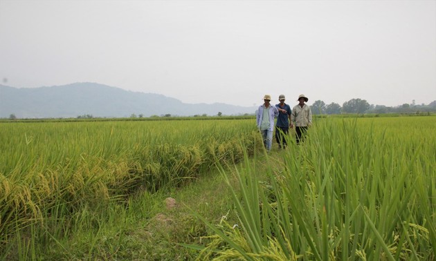 Provinsi Dak Lak Laksanakan Rantai Konektivitas untuk Tingkatkan Nilai Produk Pertanian