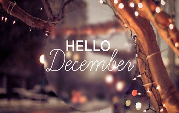Halo Desember