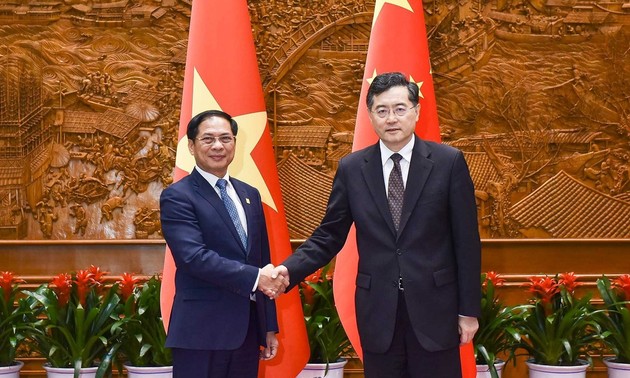 Vietnam Hargai Pengembangan Hubungan Kemitraan Kerja Sama Strategis yang Komprehensif dengan Tiongkok