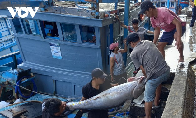 Membantu Mengembangkan Perikanan di Kabupaten Pulau Truong Sa