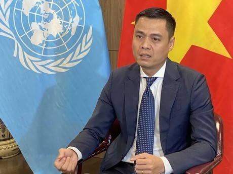 Vietnam Akan Aktif Memberikan Kontribusi untuk KTT Ke-19 Francophonie
