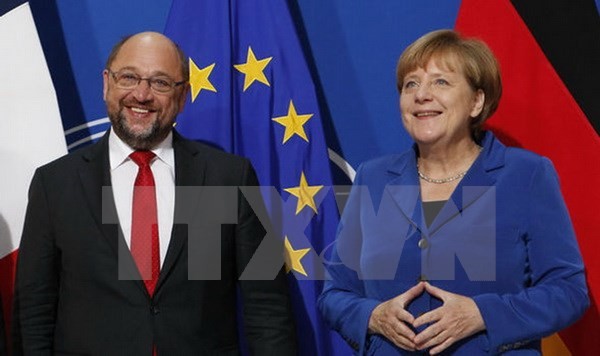 Germany's Social Democrats agree to open talks with Merkel 