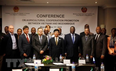 Vietnam, Mozambique boost agricultural cooperation