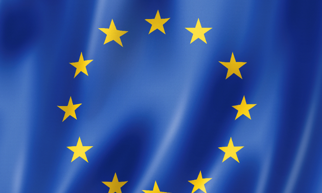 EU allows entry from 11 non-EU countries 