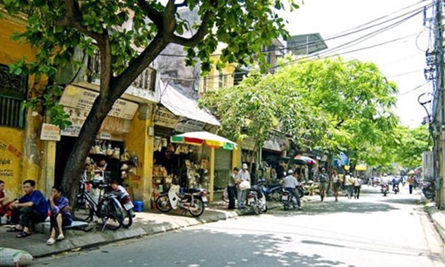 Улица Лан Онг в Ханое, где продают лекарства восточной медицины