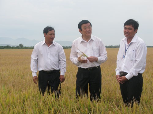 Президент Чыонг Тан Шанг провел рабочую встречу с руководителями Ниньтхуана