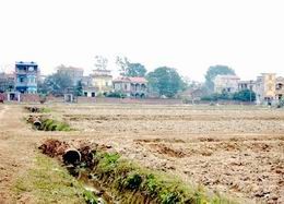 План «реорганизация земельных участков и строительство новой деревни» в Ханое