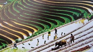 Объекты вьетнамского наследия в фотографиях