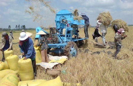 Вьетнам экспортировал более 7 млн тонн риса