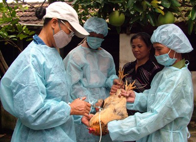 Сотрудничество в профилактике и борьбе с болезнями, передающимися человеку от животных