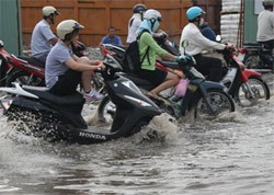 Подведены итоги работы по борьбе с тайфунами и наводнениями