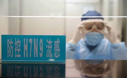В Китае выросло число заболевших вирусом птичьего гриппа H7N9