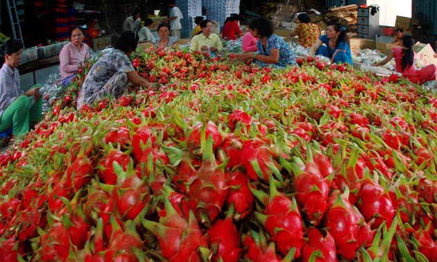 Вьетнамским овощам и фруктам вновь будет выдана лицензия на экспорт в Европу
