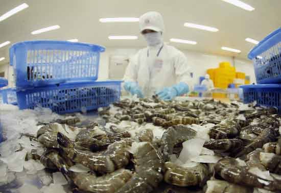 Вьетнам выступает против введения США антидотационных пошлин на импорт креветок