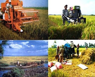 Механизация производства риса в районах дельты реки Меконг