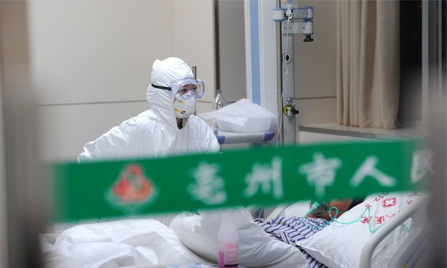 В Китае выявлен новый случай заражения птичьим гриппом H7N9