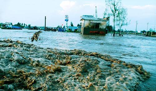 Укрепление способности жителей прибрежных районов Вьетнама для адаптации изменений климата