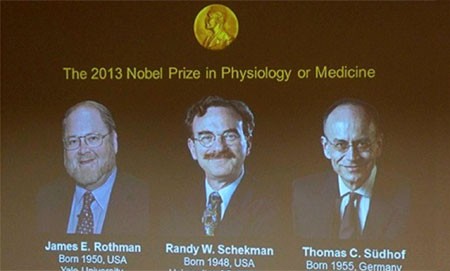 Назван лауреат Нобелевской премии 2013 года по медицине