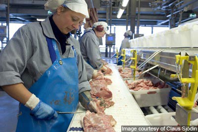 Россия готова поставлять мясо во Вьетнам