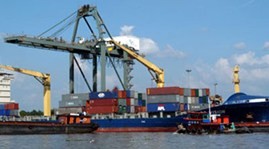 Объем двусторонней торговли между Вьетнамом и Бразилией заметно увеличился