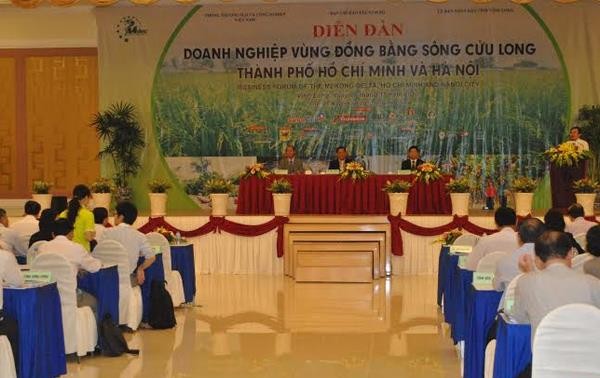 Бизнес-форум провинций дельты реки Меконг, Хошимина и Ханоя