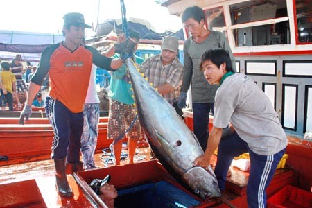 Семинар «Оказание помощи рыбакам в развитии морской экономики»