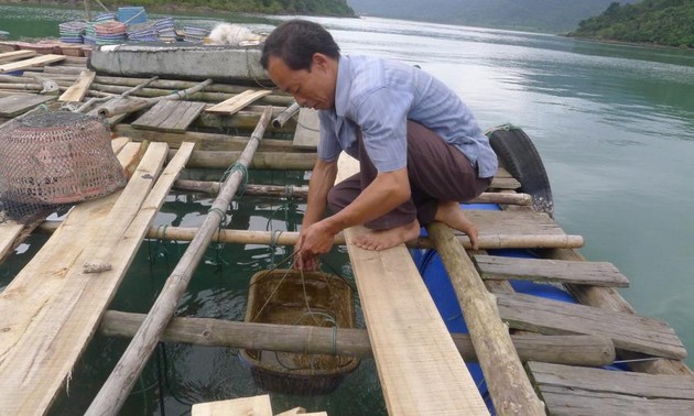 Выращивание морепродуктов в островном уезде Вандон провинции Куангнинь